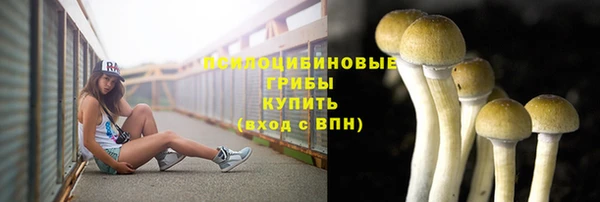 ALPHA PVP Баксан