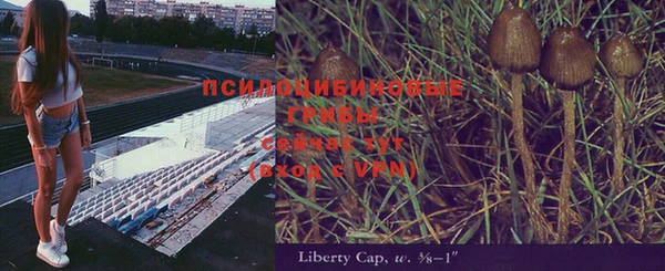2c-b Беломорск