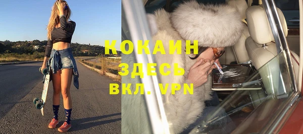 сатива Балахна
