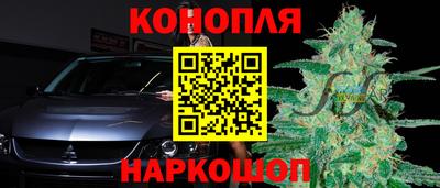 a pvp Аргун