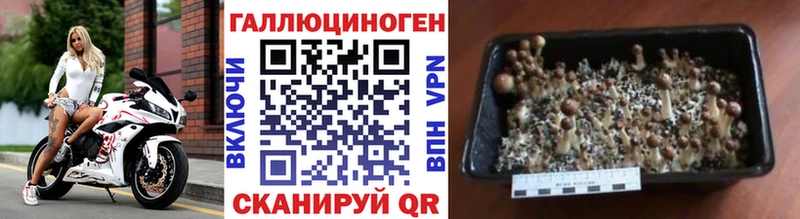 Галлюциногенные грибы Magic Shrooms  магазин    Воскресенск 