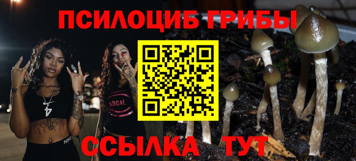 Псилоцибиновые грибы Magic Shrooms  Вход с VPN  Воскресенск 